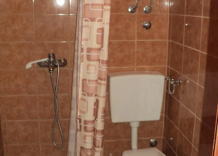 Tanjuska 库希斯特